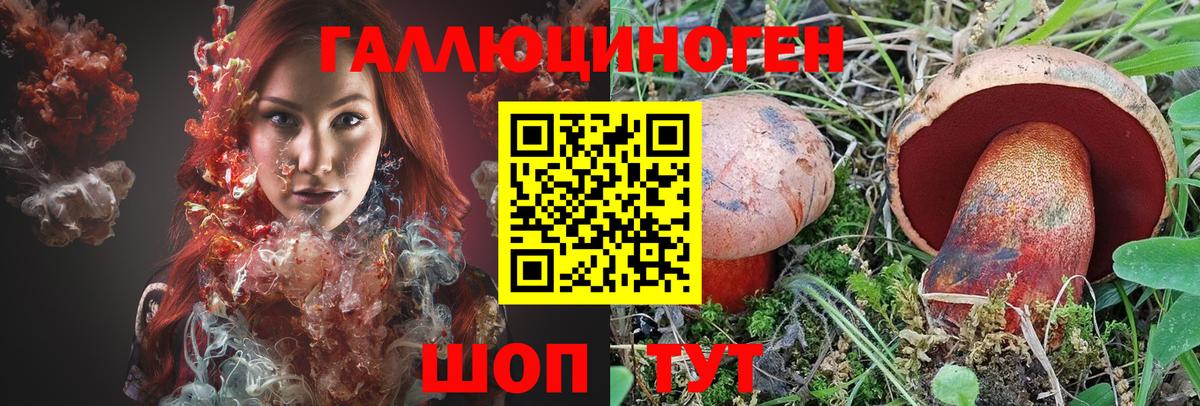 Псилоцибиновые грибы Psilocybe  Вход с VPN  Богданович  Псилоцибиновые грибы прущие грибы 