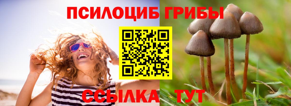 Галлюциногенные грибы ЛСД Богданович